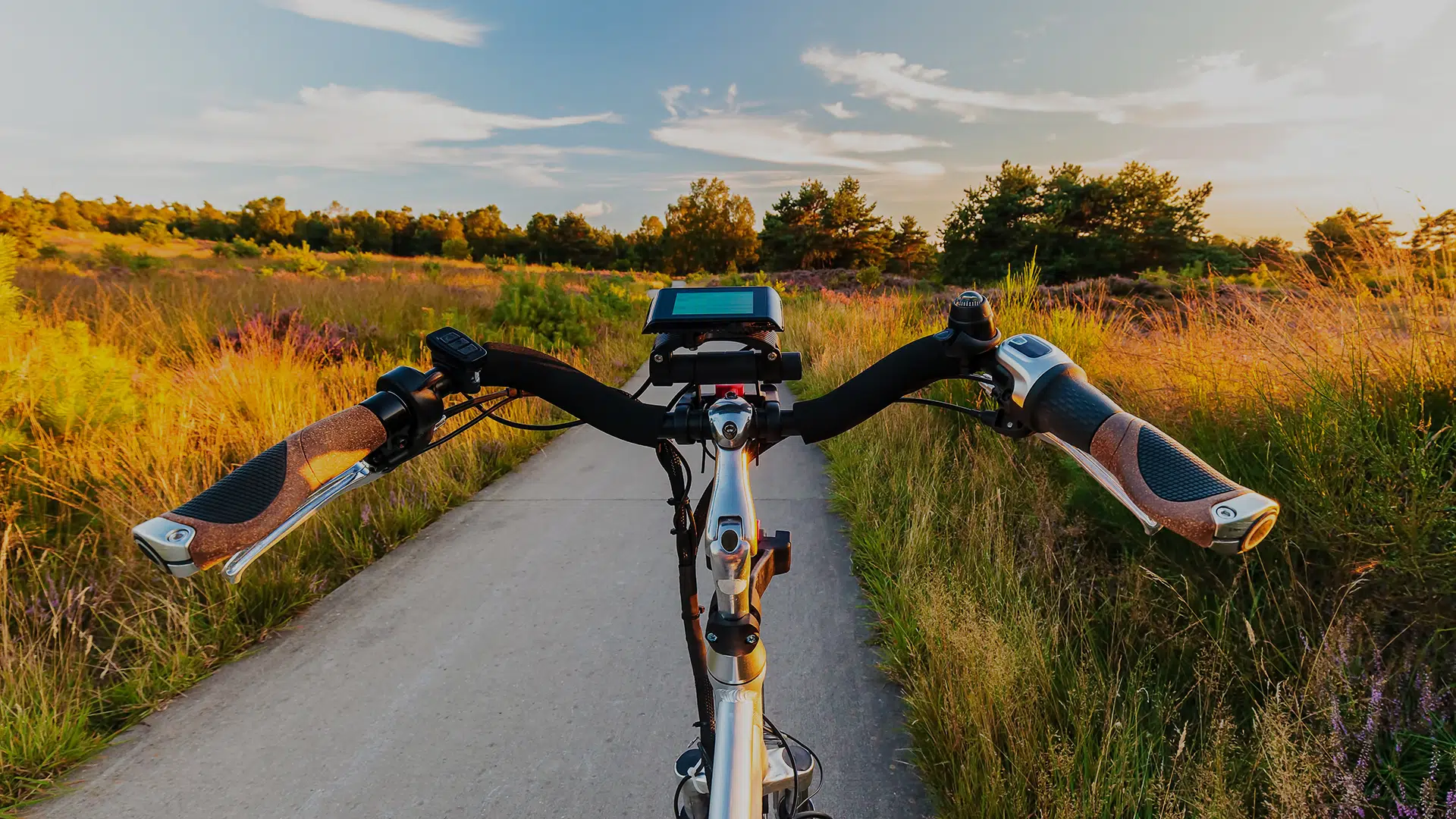 BOJ-E-BIKES - Batavia E-Bike Shop
