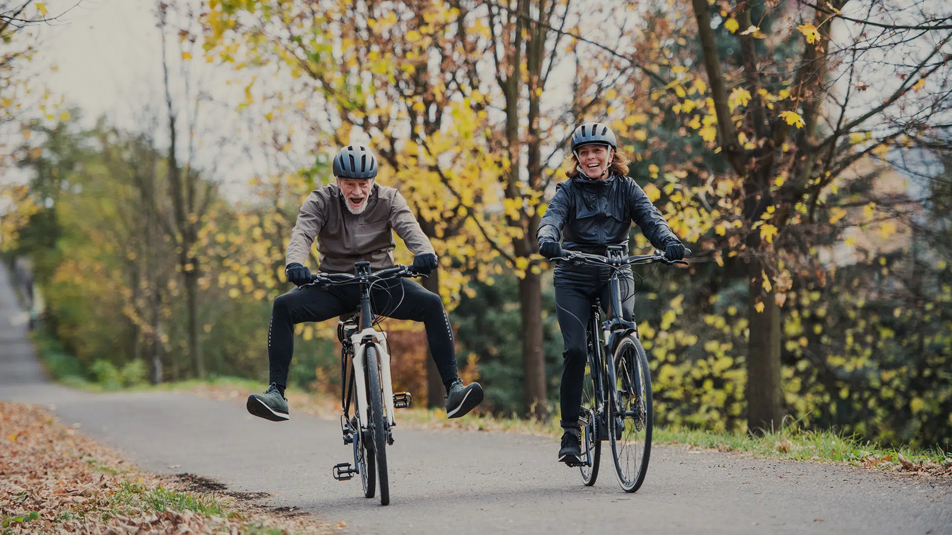 BOJ-E-BIKES - Batavia E-Bike Shop
